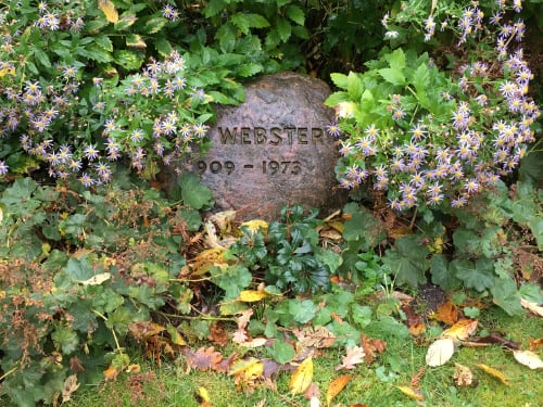 webster